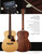 Guitars Acoustic Guitars View 4