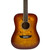 Used Washburn Deep Forest Burl Dreadnought Acoustic Guitar – Natural Burl 40090-S000084632 View 1