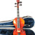 Violins 4/4 Size View 2