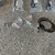 Used SHURE BLX BLX14R WIRELESS GUITAR SYSTEM 41106-S000102148 View 14