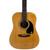 Used Epiphone DR-100 Natural Dreadnought Acoustic Guitar 40090-S000084667 View 1