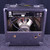 Used Gorilla GG-25 PRACTICE AMP 1 x 8 Solid State Amplifier 1 x 8 41140-S000139252 View 2