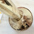 Used Getzen 300 SERIES TRUMPET Trumpet 41108-S000066049 View 8