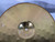 Used Sabian 14 IN SBR HI HAT PAIR Hi Hat Cymbals 14" 40012-S000315945 View 19