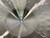 Used Paiste 20IN ALPHA DRY RIDE Ride Cymbal 20" 40012-S000315955 View 20