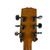 Used Hamer SLAMMER SERIES ARCHTOP Double Cut Electric Guitar Goldtop 6-String 41120-S000038437 View 4