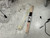 Used Pearl PEARL SNARE / BELL KIT Snare Kit in Gig Bag 40012-S000316039 View 12
