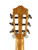 Used Cordoba GK Studio Classical Acoustic/Electric Guitar w/Bag 41115-S000118468 View 6