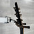 Used Schecter JL-7 Jeff Loomis Signature Electric Guitar - Matte Black - 7-string 40112-S000183979 View 11