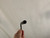 Used Audix MICROBOOM84+ MI250B+ CABLE CHOIR MIC Condenser Microphone 40012-S000316273 View 4