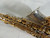 Used Jupiter CARNEGIE XL CAS-860 ALTO Alto Saxophone 40012-S000316346 View 7
