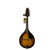 Used Rogue RM100-A Mandolin 40009-S000316463 View 1