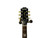 Used Epiphone LES PAUL STANDARD ALNICO II W/OHC LP Type Electric Guitar Goldtop 6-String 40009-S000316488 View 8