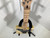 Used Squier TELE CUSTOM VINTAGE MOD P90S T Type Electric Guitar Yellow 6-String 40107-S000152914 View 4
