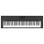 New - ROLAND GO:KEYS 5 GRAPHITE 40087-ROL-GOKEYS5GT View 1