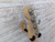 Used Squier AFFINITY P/J BASS Guitar 41138-S000100877 View 9