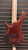 Used Ibanez SR305E 5 STRING Bass Guitar Other 5-String 41116-S000053513 View 3