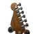 Used ALLENALLEN CASTER SPECIAL ED. S Type Electric Guitar Brown 6-String 40009-S000316664 View 10