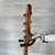 Used Sadowsky MetroExpress Modern Bass Guitar - Champagne Metallic - 5-string - Gig Bag Included 40112-S000184080 View 13