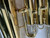 Used Eastman ANDREAS EASTMAN EEP321 Baritone Horn 40012-S000316612 View 20