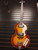 Used Rogue VIOLIN BASS Bass Guitar Sunburst 4-String 41116-S000053569 View 2