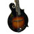 Used The Loar LM-600-VS Mandolin 40009-S000316764 View 2