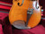 Used Otto Steiner OTTO BENJAMIN 16-1/2 VIOLA Viola 16" 40012-S000316788 View 11