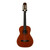 Used Palmer P624 Acoustic Guitar 41117-S000056595 View 2