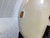Used Washburn FORCE ABT P Type Bass Guitar White 4-String 40107-S000158290 View 9