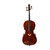 Used BEGINNER CELLO Cello 4/4 Size 40009-S000316917 View 1