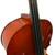 Used BEGINNER CELLO Cello 4/4 Size 40009-S000316917 View 5