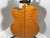 Used Michael Kelly DRAGONFLY 5-STRING Acoustic Bass Guitar Orange 5-String 40107-S000158307 View 8