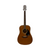 Used Epiphone PR-200D VINTAGE KOREAN DREADNOUGHT AS-IS Vintage Laminate Top Acoustic Guitar Wood 41126-S000093311 View 2