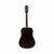 Used Epiphone PR-200D VINTAGE KOREAN DREADNOUGHT AS-IS Vintage Laminate Top Acoustic Guitar Wood 41126-S000093311 View 4