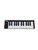 Used Akai LPK25 Controller 41115-S000118778 View 1