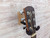 Used Alvarez YAIRI DY-53 Acoustic Guitar 41138-S000100953 View 20