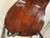 Used KISO SUZUKI G-100 MIJ CLASSICAL Vintage Laminate Top Acoustic Guitar Natural 40012-S000317099 View 20