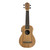 Used Ortega RFU10ZE Ukulele Wood 41120-S000038883 View 1