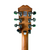 Used Epiphone CLASSIC GOLD TOP Electric Guitar Other 6-String 41136-S000157895 View 5
