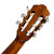 Used Ibanez AEG10NII-TNG Nylon-String Acoustic-Electric Guitar 40090-S000085398 View 20