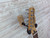 Used Squier 20TH ANN ROLLING ROCK TELE Electric Guitar 41138-S000100972 View 16