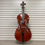 Used - Palatino VC-850 4/4 Cello  40087-S000242549 View 1