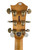 Used Tagima OLIVE GRACE EQ A/E W/HSC Solid Top Acoustic Guitar Natural 41115-S000118852 View 5