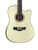 Used Tagima SIERRENA XII EQ 12-String Acoustic/Electric Guitar   41115-S000118854 View 1
