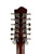 Used Tagima SIERRENA XII EQ 12-String Acoustic/Electric Guitar   41115-S000118854 View 6