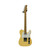 Used Fender AMEICAN PERFORMER TELE W/MOJOTONE PICKUP T Type Electric Guitar Yellow 6-String 40009-S000317203 View 1