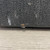 Used - Acoustic B20 BASS AMP AS-IS Bass Combo Amplifier  40087-S000242660 View 8