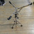 Used Ludwig SNARE STAND Vintage Snare Stand 40105-S000077746 View 1