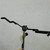 Used 4/4 CELLO STAND Band Instrument Stand 40042-S000276451 View 3