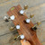 Used BATON ROUGE X6C/AC-AF Solid Top Acoustic Guitar Wood 40105-S000077766 View 15